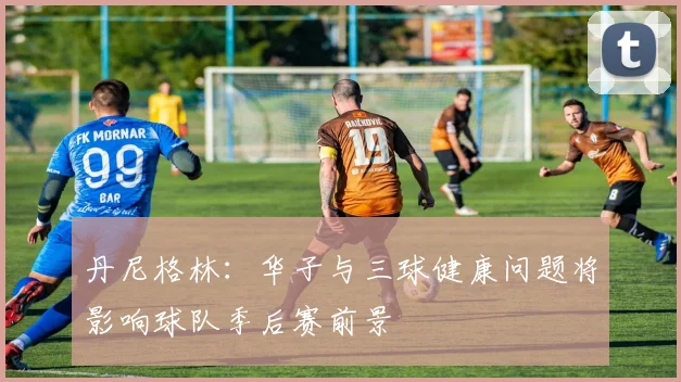 丹尼格林：华子与三球健康问题将影响球队季后赛前景